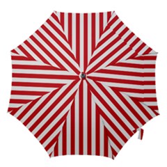 Hook Handle Umbrella (Large) 