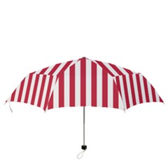 Folding Umbrella 