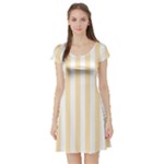 Vertical Stripes - White and Peach Orange Short Sleeve Skater Dress