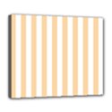 Deluxe Canvas 24  x 20  (Stretched) 