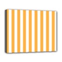 Deluxe Canvas 20  x 16  (Stretched) 