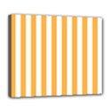 Deluxe Canvas 24  x 20  (Stretched) 