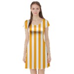 Vertical Stripes - White and Dark Tangerine Orange Short Sleeve Skater Dress