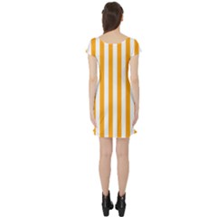Short Sleeve Skater Dress Back