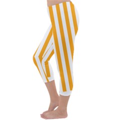 Capri Winter Leggings Back Capri Winter Leggings Back