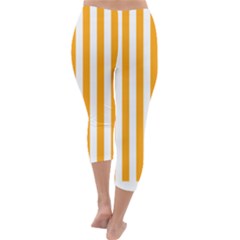 Capri Winter Leggings  