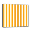 Deluxe Canvas 24  x 20  (Stretched) 
