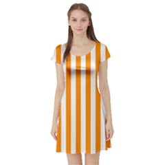 Short Sleeve Skater Dress Front