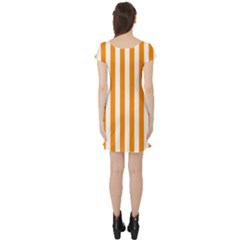 Short Sleeve Skater Dress Back