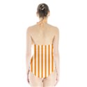 Halter Swimsuit 