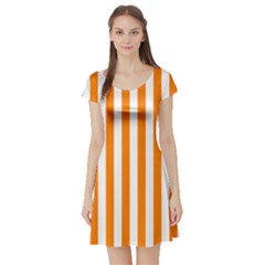 Short Sleeve Skater Dress Front