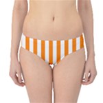 Vertical Stripes - White and Orange Hipster Bikini Bottoms