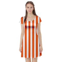 Short Sleeve Skater Dress Front