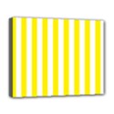 Deluxe Canvas 20  x 16  (Stretched) 