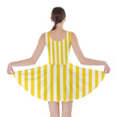 Skater Dress 