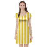 Vertical Stripes - White and Gold Yellow Short Sleeve Skater Dress