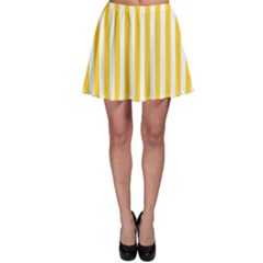 Skater Skirt 
