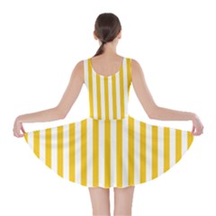 Skater Dress 