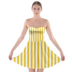 Strapless Bra Top Dress 