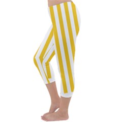 Capri Winter Leggings Back Capri Winter Leggings Back
