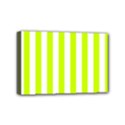 Mini Canvas 6  x 4  (Stretched) 