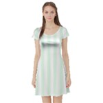 Vertical Stripes - White and Pale Green Short Sleeve Skater Dress