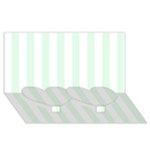 Vertical Stripes - White and Pale Green Twin Heart Bottom 3D Greeting Card (8x4)