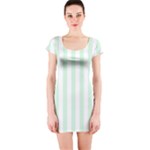 Vertical Stripes - White and Pastel Green Short Sleeve Bodycon Dress