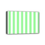 Vertical Stripes - White and Light Green Mini Canvas 6  x 4  (Stretched)
