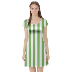 Short Sleeve Skater Dress Front