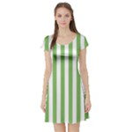 Vertical Stripes - White and Dollar Bill Green Short Sleeve Skater Dress