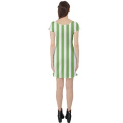 Short Sleeve Skater Dress Back