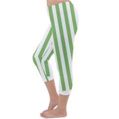 Capri Winter Leggings Back Capri Winter Leggings Back