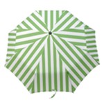 Vertical Stripes - White and Dollar Bill Green Folding Umbrella