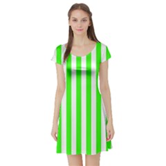 Short Sleeve Skater Dress Front