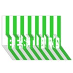Vertical Stripes - White and Lime Green BEST BRO 3D Greeting Card (8x4)