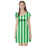 Vertical Stripes - White and Dark Pastel Green Short Sleeve Skater Dress