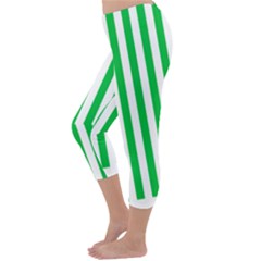 Capri Winter Leggings Back Capri Winter Leggings Back