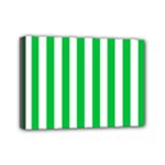 Vertical Stripes - White and Dark Pastel Green Mini Canvas 7  x 5  (Stretched)