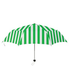 Folding Umbrella 