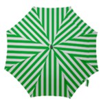 Vertical Stripes - White and Dark Pastel Green Hook Handle Umbrella (Medium)