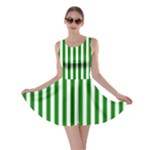 Vertical Stripes - White and Green Skater Dress