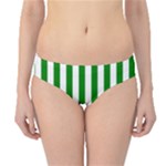 Vertical Stripes - White and Green Hipster Bikini Bottoms