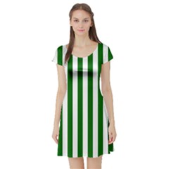 Short Sleeve Skater Dress Front