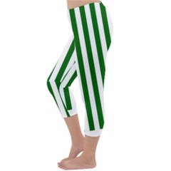 Capri Winter Leggings Back Capri Winter Leggings Back