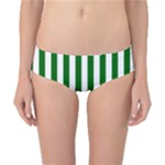 Vertical Stripes - White and Dark Green Classic Bikini Bottoms