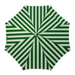 Vertical Stripes - White and Dark Green Golf Umbrella