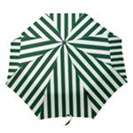 Vertical Stripes - White and Forest Green Folding Umbrella