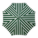 Vertical Stripes - White and Forest Green Golf Umbrella