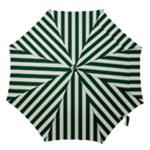 Vertical Stripes - White and Forest Green Hook Handle Umbrella (Large)